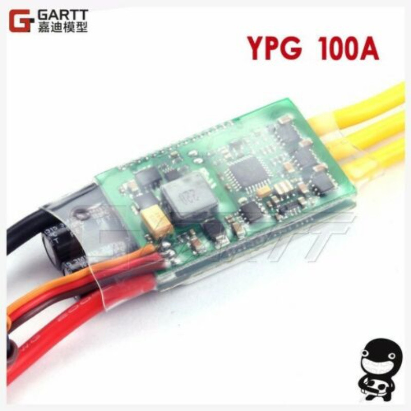 RC 550/600 헬리콥터 비행기용 YPG 100A  - Drone Battery 6S 리뷰 및 가격
